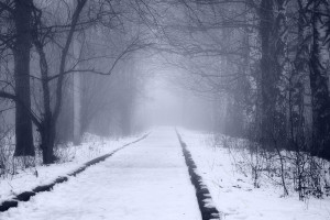 全球聚焦！南美电竞联赛，让世界听到来自南美的好声音！