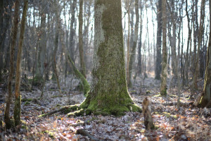 本土主帅能否在中超赛场再次证明自己