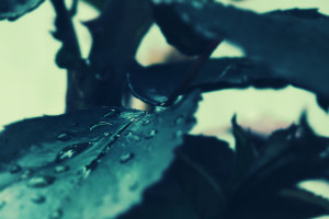 网球选手们挥洒汗水,全运数据榜上的实力比拼 网球选手们挥洒汗水,全运数据榜上的实力比拼